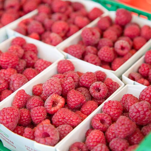 Frische Himbeeren vom Egghof